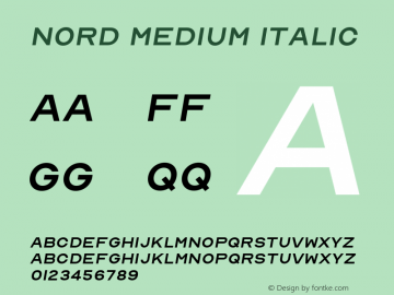 Nord Medium Italic Version 1.000;PS 001.000;hotconv 1.0.88;makeotf.lib2.5.64775 Font Sample