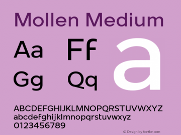 Mollen Medium Version 1.000;YWFTv17图片样张