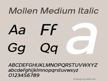 Mollen Medium Italic Version 1.000;YWFTv17图片样张