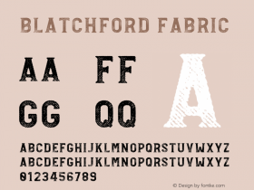 Blatchford-Fabric Version 1.000图片样张