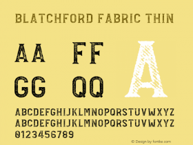 Blatchford-FabricThin Version 1.000图片样张