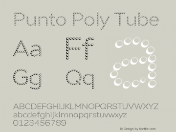 Punto Poly Tube Version 1.000;PS 001.000;hotconv 1.0.88;makeotf.lib2.5.64775图片样张