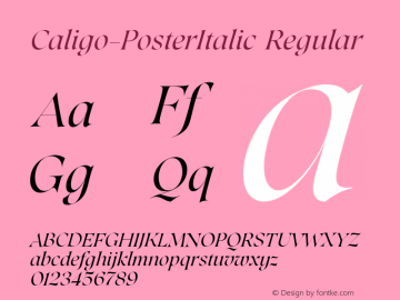 Caligo Poster Italic Version 1.00图片样张