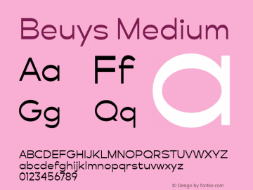 Beuys-Medium Version 1.000;PS 001.000;hotconv 1.0.88;makeotf.lib2.5.64775图片样张