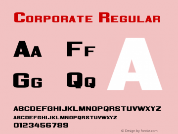 Corporate Regular Updated Feb. 2007图片样张