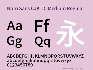 Noto Sans CJK TC Medium Version 1.004;PS 1.004;hotconv 1.0.82;makeotf.lib2.5.63406 Font Sample