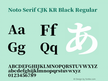 Noto Serif CJK KR Black Version 1.001;PS 1.001;hotconv 16.6.54;makeotf.lib2.5.65590 Font Sample