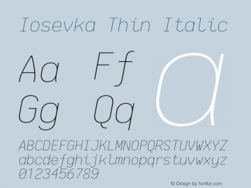 Iosevka Thin Italic 2.2.1图片样张