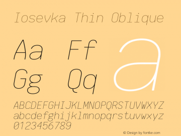 Iosevka Thin Oblique 2.2.1; ttfautohint (v1.8.3) Font Sample