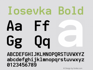 Iosevka Bold 2.2.1图片样张