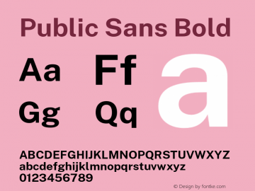 Public Sans Bold Version 1.006;hotconv 1.0.109;makeotfexe 2.5.65596 Font Sample