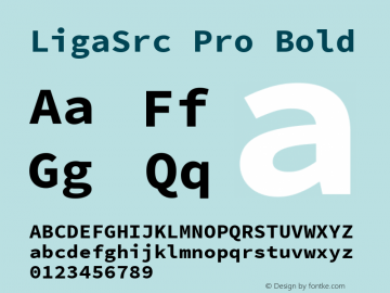 LigaSrc Pro Bold Version 2.010;PS 1.000;hotconv 1.0.84;makeotf.lib2.5.63406 Font Sample