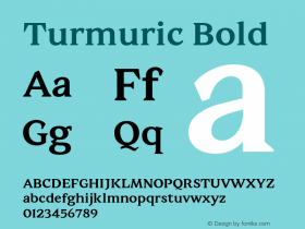 Turmuric Bold Version 1.000图片样张