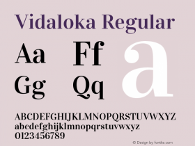 Vidaloka Version 1.011 Font Sample