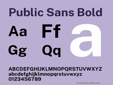 Public Sans Bold Version 1.007 Font Sample