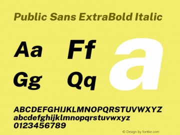 Public Sans ExtraBold Italic Version 1.007 Font Sample