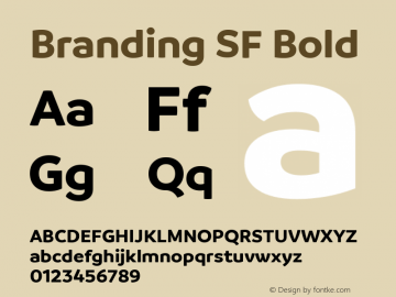 Branding SF Bold Version 1.000;hotconv 1.0.109;makeotfexe 2.5.65596;YWFTv17 Font Sample