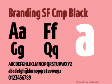 Branding SF Cmp Black Version 1.000;hotconv 1.0.109;makeotfexe 2.5.65596;YWFTv17 Font Sample