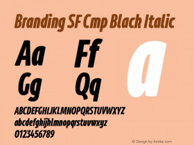 Branding SF Cmp Black Italic Version 1.000;hotconv 1.0.109;makeotfexe 2.5.65596;YWFTv17 Font Sample