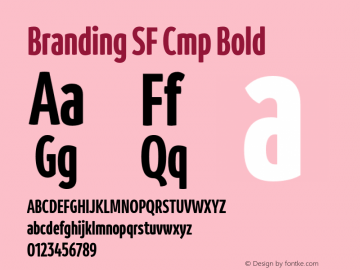 BrandingSF-CmpBold Version 1.000;hotconv 1.0.109;makeotfexe 2.5.65596;YWFTv17 Font Sample