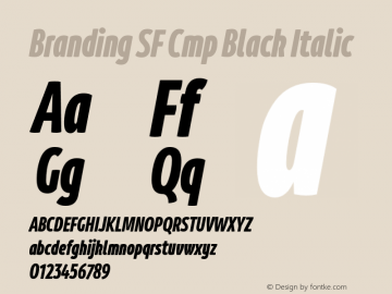 BrandingSF-CmpBlackItalic Version 1.000;hotconv 1.0.109;makeotfexe 2.5.65596;YWFTv17 Font Sample