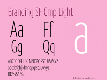 BrandingSF-CmpLight Version 1.000;hotconv 1.0.109;makeotfexe 2.5.65596;YWFTv17 Font Sample