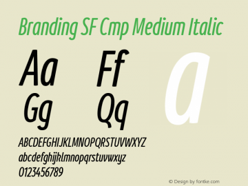 BrandingSF-CmpMediumItalic Version 1.000;hotconv 1.0.109;makeotfexe 2.5.65596;YWFTv17 Font Sample