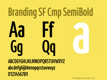 Branding SF Cmp SemiBold Version 1.000;hotconv 1.0.109;makeotfexe 2.5.65596;YWFTv17 Font Sample