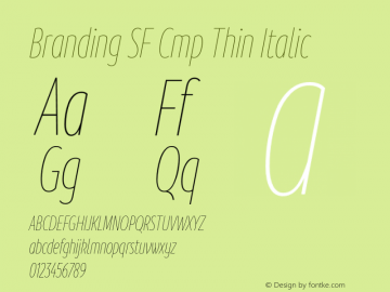 BrandingSF-CmpThinItalic Version 1.000;hotconv 1.0.109;makeotfexe 2.5.65596;YWFTv17 Font Sample