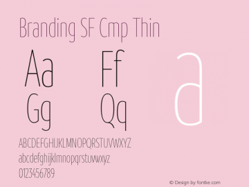 BrandingSF-CmpThin Version 1.000;hotconv 1.0.109;makeotfexe 2.5.65596;YWFTv17 Font Sample