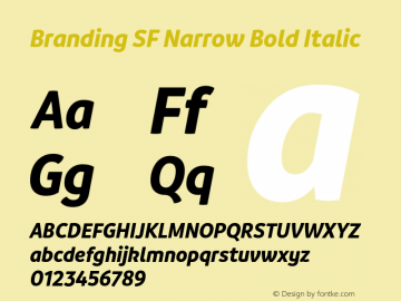BrandingSF-NarrowBoldItalic Version 1.000;hotconv 1.0.109;makeotfexe 2.5.65596;YWFTv17 Font Sample