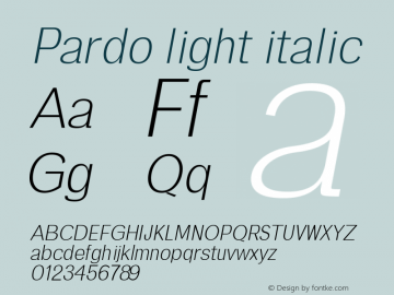 Pardo light italic 0.1.0;YWFTv17图片样张