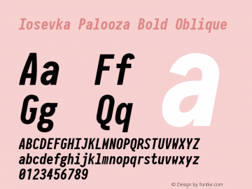 Iosevka Palooza Bold Oblique 2.3.0图片样张