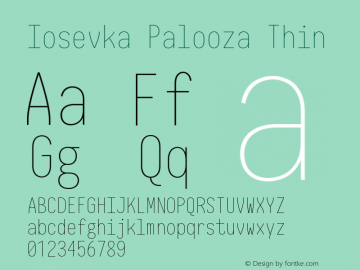 Iosevka Palooza Thin 2.3.0图片样张