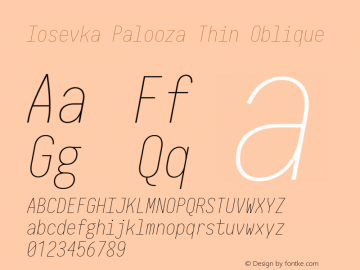 Iosevka Palooza Thin Oblique 2.3.0; ttfautohint (v1.8.3)图片样张