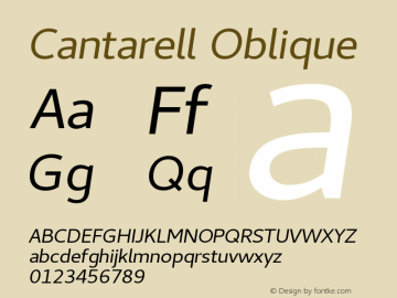 Cantarell Oblique Version 0.0.25图片样张