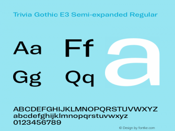 Trivia Gothic E3 Semi-expanded Regular Version 001.000 Font Sample