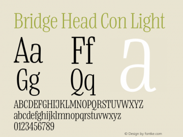 Bridge Head Con Light Version 1.000;hotconv 1.0.109;makeotfexe 2.5.65596图片样张