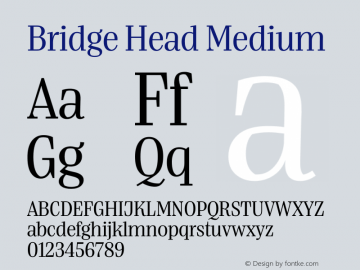 Bridge Head Medium Version 1.000;hotconv 1.0.109;makeotfexe 2.5.65596图片样张