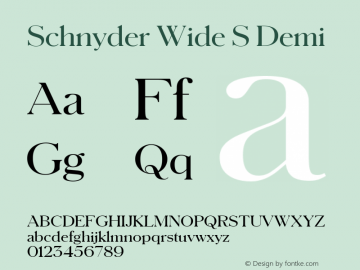 Schnyder Wide S-Demi Version 1.001 2018 | wf-rip By Margaret. Font Sample