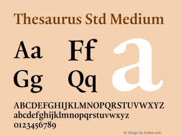 ThesaurusStd-Medium Version 1.000;PS 001.000;hotconv 1.0.88;makeotf.lib2.5.64775图片样张