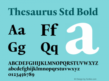 ThesaurusStd-Bold Version 1.000;PS 001.000;hotconv 1.0.88;makeotf.lib2.5.64775 Font Sample