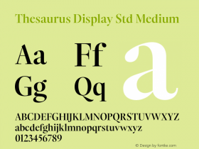 ThesaurusDisplayStd-Medium Version 1.000;PS 001.000;hotconv 1.0.88;makeotf.lib2.5.64775 Font Sample