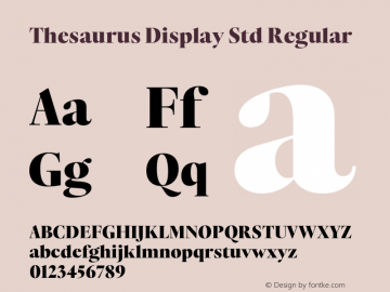 ThesaurusDisplayStd-Black Version 1.000;PS 001.000;hotconv 1.0.88;makeotf.lib2.5.64775 Font Sample