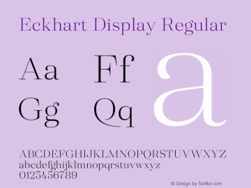 Eckhart Display Light Version 1.000;hotconv 1.0.109;makeotfexe 2.5.65596图片样张