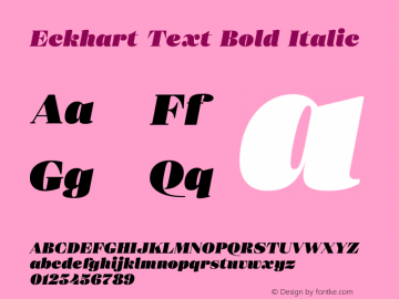 Eckhart Text Extra Black Italic Version 1.000;hotconv 1.0.109;makeotfexe 2.5.65596 Font Sample