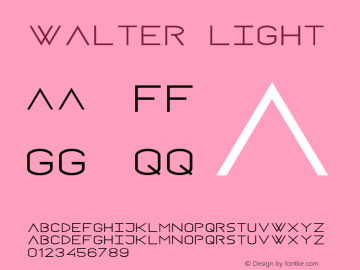 Walter Light Version 1.000;PS 001.000;hotconv 1.0.88;makeotf.lib2.5.64775图片样张