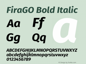 FiraGO Bold Italic Version 1.001;PS 001.001;hotconv 1.0.88;makeotf.lib2.5.64775 Font Sample