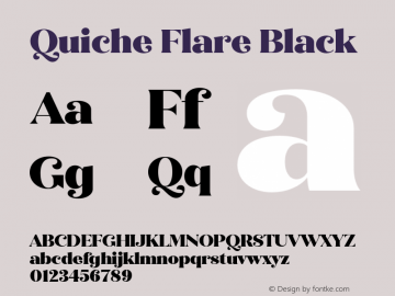 Quiche Flare Black Version 1.000;hotconv 1.0.109;makeotfexe 2.5.65596 Font Sample