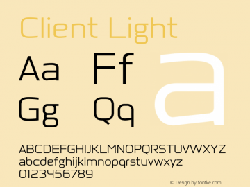 Client Light Version 1.00图片样张